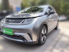 BYD Dolphin 420km Fashion Edition - ფოტო 1