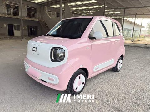 2024 FAW Besturn Xiaoma 2025 222km Dynamic Edition - ავტომობილი ჩინეთიდან