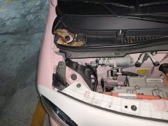 FAW Besturn Xiaoma 2025 222km Dynamic Edition - ფოტო 16