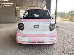 FAW Besturn Xiaoma 2025 222km Dynamic Edition - ფოტო 20