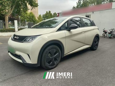 2024 BYD Dolphin 2023 420km Fashion Edition - ავტომობილი ჩინეთიდან