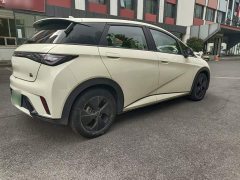 BYD Dolphin 2023 420km Fashion Edition - ფოტო 11
