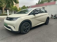 BYD Dolphin 2023 420km Fashion Edition - ფოტო 2