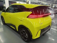 BYD Seagull Flying Edition - ფოტო 13