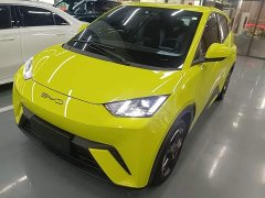 BYD Seagull Flying Edition - ფოტო 2