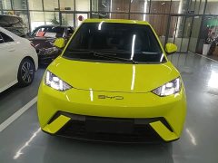 BYD Seagull Flying Edition - ფოტო 3