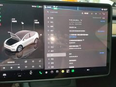 Tesla Model Y 2022 Long Range All-Wheel Drive - ფოტო 12