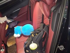 BMW 5 Series 530Li Premier M Sport Package - ფოტო 15