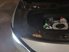 BYD Song L EV 2025 550km Excellence Edition - ფოტო 20