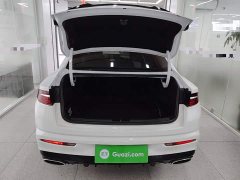 Geely Xingrui 2.0T Diesel Luxury - ფოტო 15