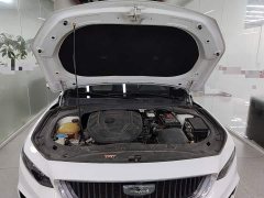 Geely Xingrui 2.0T Diesel Luxury - ფოტო 16
