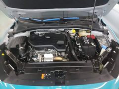 SAIC MG6 2023 1.5T XLINE Shark Hunter Edition - ფოტო 11