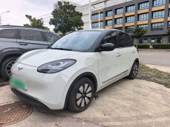 Wuling Binguo 333km Lingxi Connected Edition - ფოტო 2