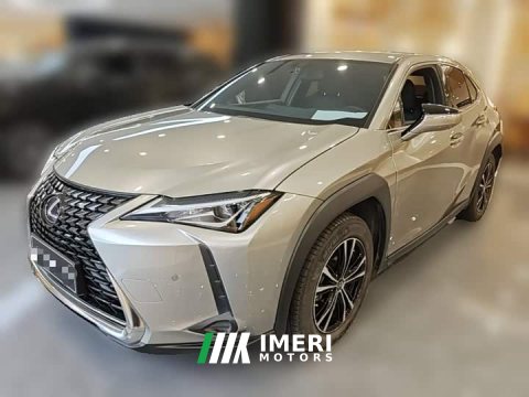 2021 Lexus UX 2020 260h Explore Cool Edition - ავტომობილი ჩინეთიდან