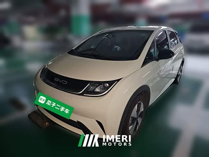 BYD Dolphin 420km Freedom Edition - ავტომობილი ჩინეთიდან