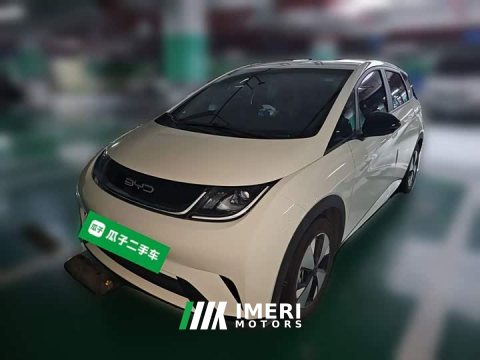 2023 BYD Dolphin 420km Freedom Edition - ავტომობილი ჩინეთიდან
