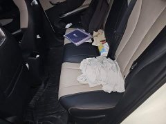 BYD Dolphin 420km Freedom Edition - ფოტო 14