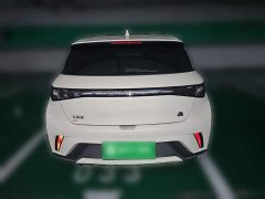 BYD Dolphin 420km Freedom Edition - ფოტო 4