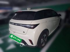 BYD Dolphin 420km Freedom Edition - ფოტო 5