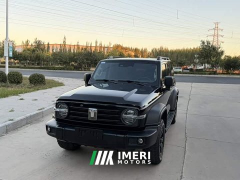 2023 Tank 300 2021 Off-Road Edition 2.0T Conqueror - ავტომობილი ჩინეთიდან