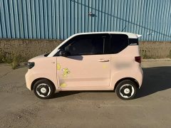 Wuling Hongguang MINIEV Macaron Fashion Edition LFP Battery - ფოტო 8