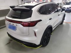 Haval Chitu 2021 Jiqing Edition 1.5T Golden Rabbit - ფოტო 11