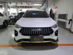 Haval Chitu 2021 Jiqing Edition 1.5T Golden Rabbit - ფოტო 13