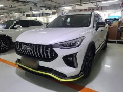 Haval Chitu 2021 Jiqing Edition 1.5T Golden Rabbit - ფოტო 2
