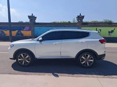Haval H6 1.5L Turbocharged Automatic Champion Edition - ფოტო 13