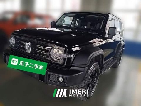 2026 Tank 300 2025 2.0T Gasoline Challenger - ავტომობილი ჩინეთიდან