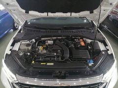 Volkswagen Sagitar 300TSI DSG Excellence Edition - ფოტო 20