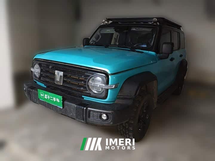 Tank 300 Off-Road Edition 2.0T Conqueror - ავტომობილი ჩინეთიდან