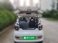 FAW Besturn Xiaoma 222km Dynamic Edition - ფოტო 10