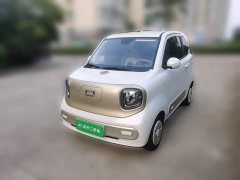 FAW Besturn Xiaoma 222km Dynamic Edition - ფოტო 2