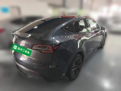 Tesla Model Y Rear-Wheel Drive - ფოტო 10