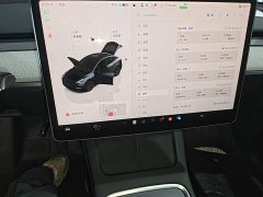 Tesla Model Y Rear-Wheel Drive - ფოტო 18