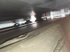 Tesla Model Y Rear-Wheel Drive - ფოტო 2