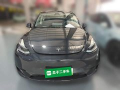 Tesla Model Y Rear-Wheel Drive - ფოტო 5