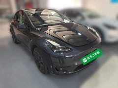 Tesla Model Y Rear-Wheel Drive - ფოტო 6