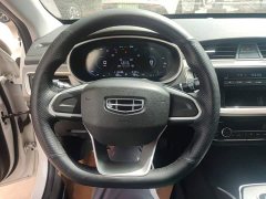 Geely Emgrand New Energy EV Pro Ride-hailing Edition - ფოტო 7