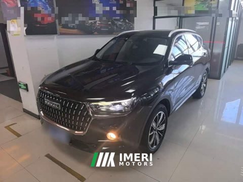 2022 Haval H6 2021 National Trend Edition 1.5L GDIT Automatic Ultra-Luxury - ავტომობილი ჩინეთიდან
