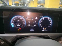 Volkswagen Magotan 2024 300TSI DSG Prestige Edition with Eye-Catching Package - ფოტო 16
