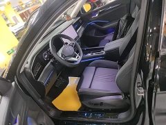 Volkswagen Magotan 2024 300TSI DSG Prestige Edition with Eye-Catching Package - ფოტო 20