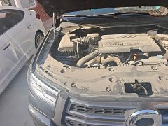 Tank Cannon 2024 2.4T Passenger Automatic Diesel 4WD Comfort - ფოტო 19