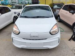 SAIC Corey Wei CLEVER 2021 302km Excellence Edition - ფოტო 3