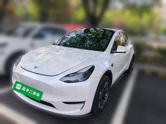 Tesla Model Y 2023 Long Range All-Wheel Drive - ფოტო 2