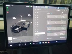 Tesla Model Y 2022 Performance All-Wheel Drive - ფოტო 8