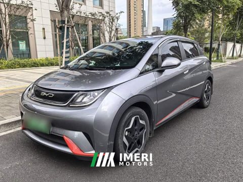 2023 BYD Dolphin 405km Fashion Edition - ავტომობილი ჩინეთიდან