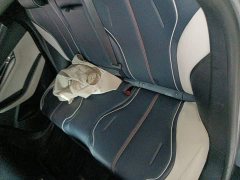 BYD Qin PLUS 2021 EV 400KM Luxury - ფოტო 13