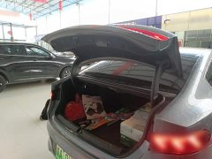 BYD Qin PLUS 2021 EV 400KM Luxury - ფოტო 15